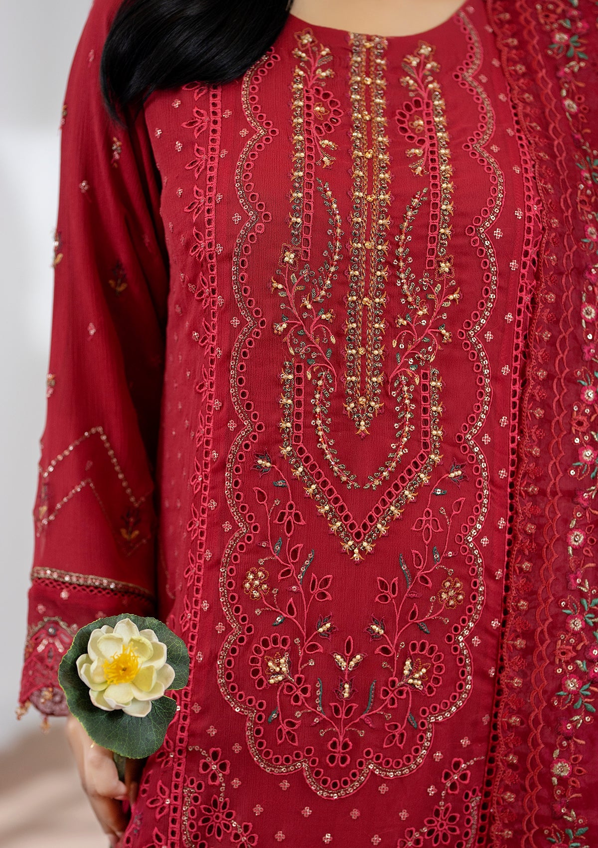 Embroidered Chiffon BT006603-RED