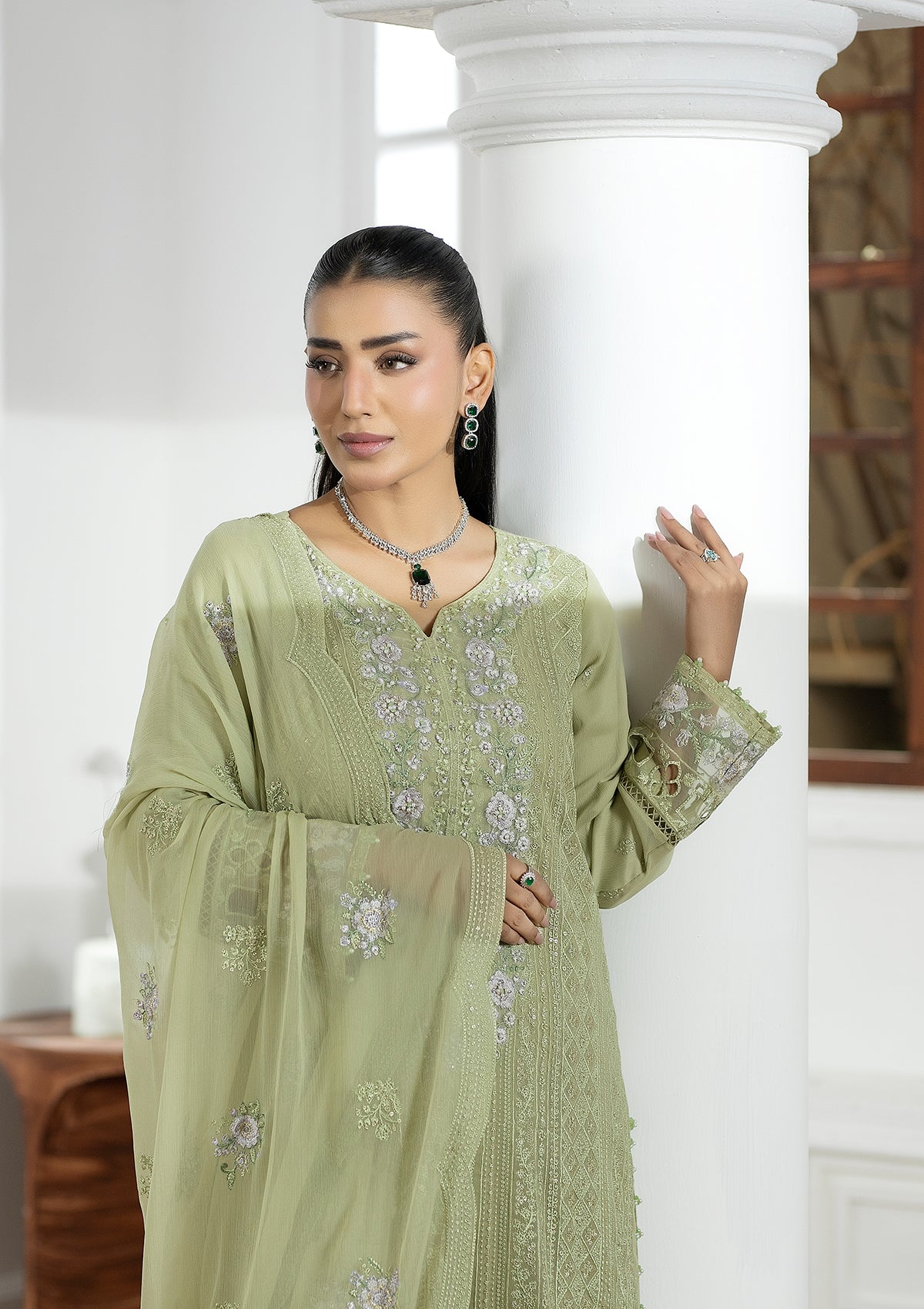 Embroidered Chiffon BT006602-PST
