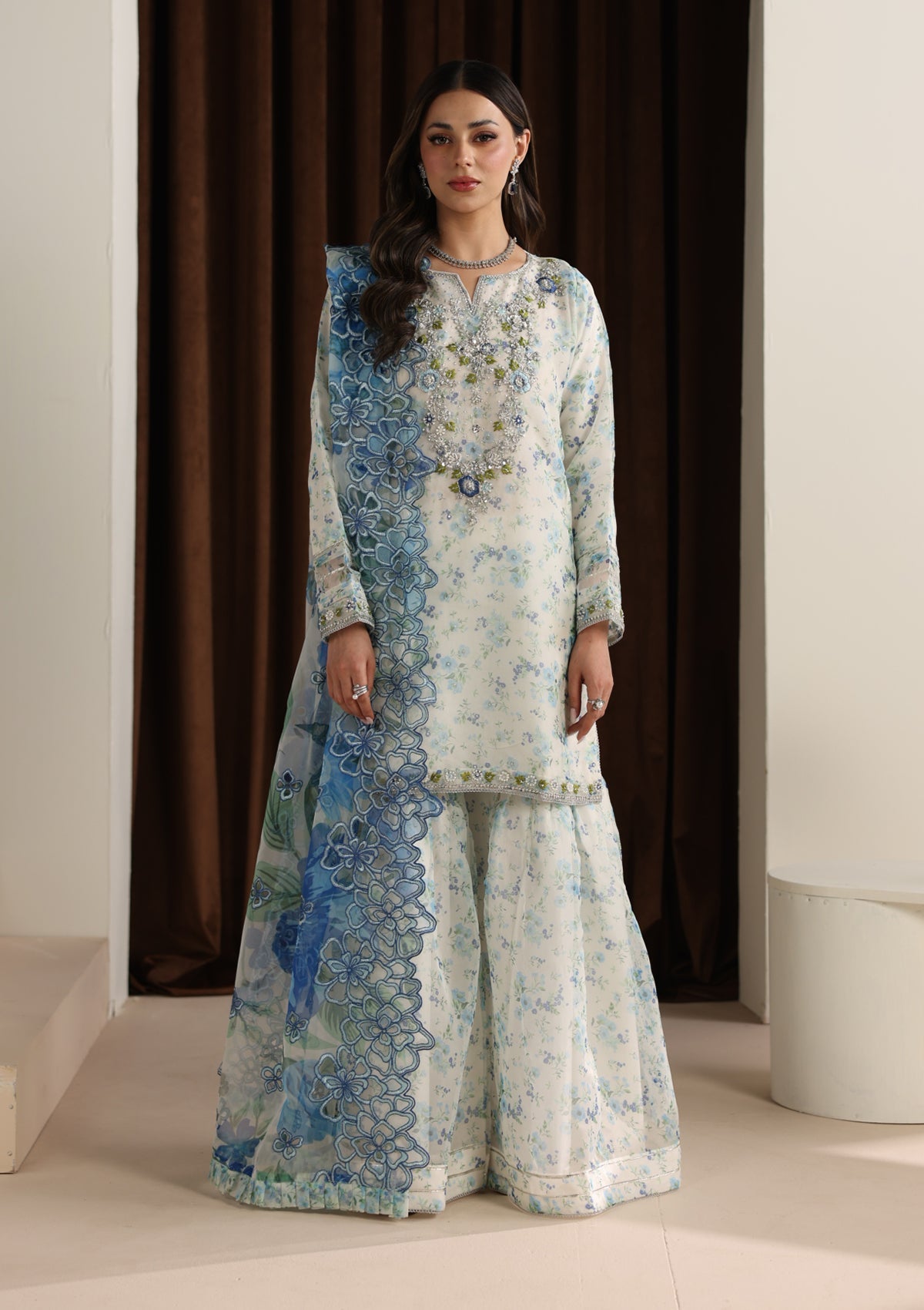 Embroidered Organza BT006675-SBL