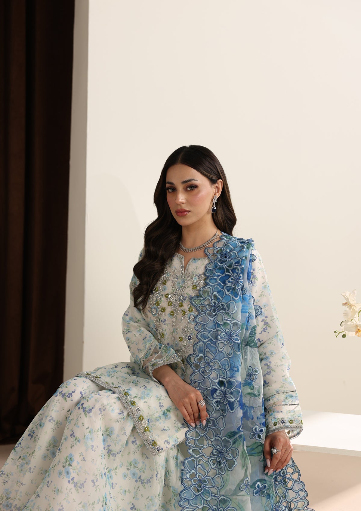 Embroidered Organza BT006675-SBL
