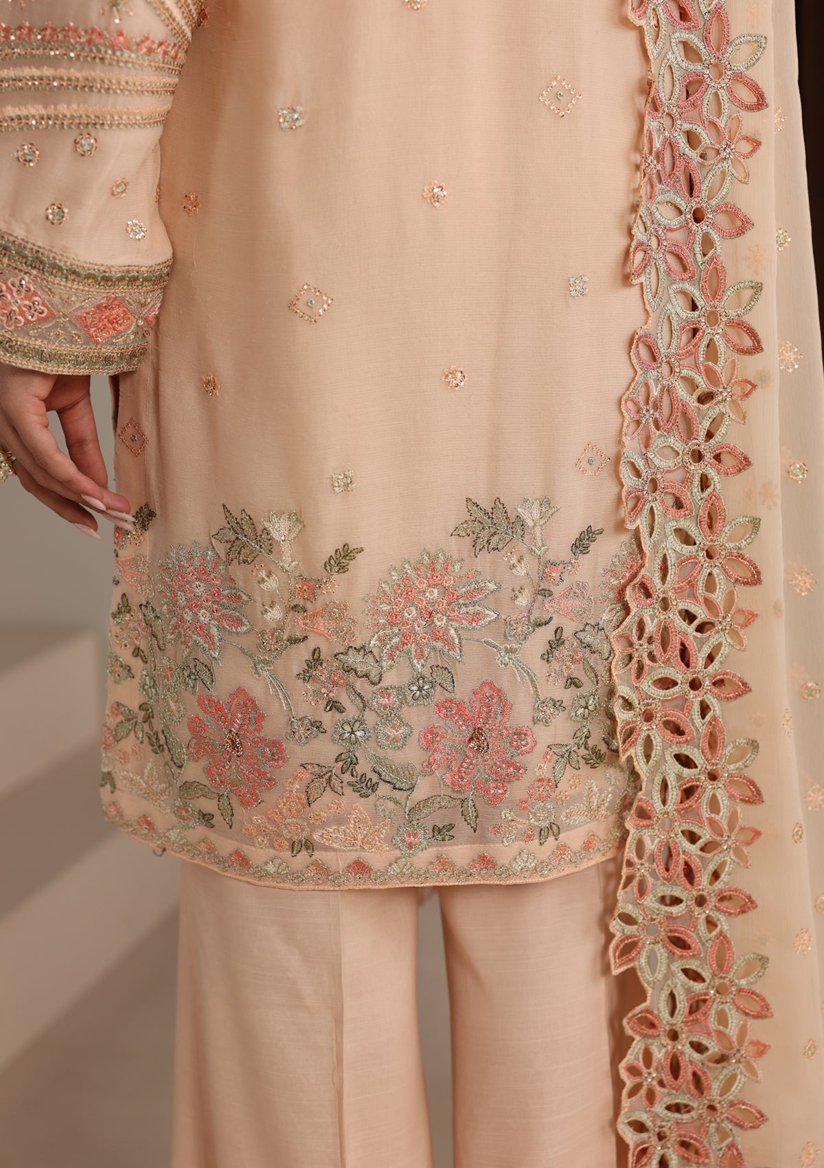 Embroidered Chiffon BT006678-PCH