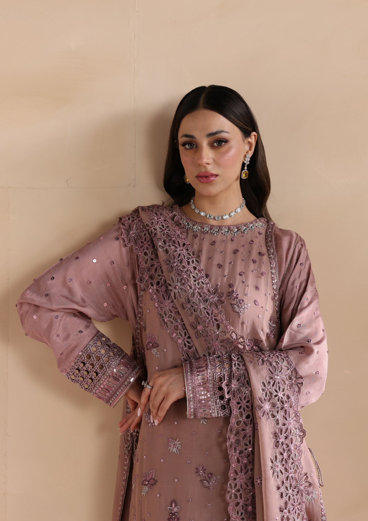 Embroidered Chiffon BT6676-PLM