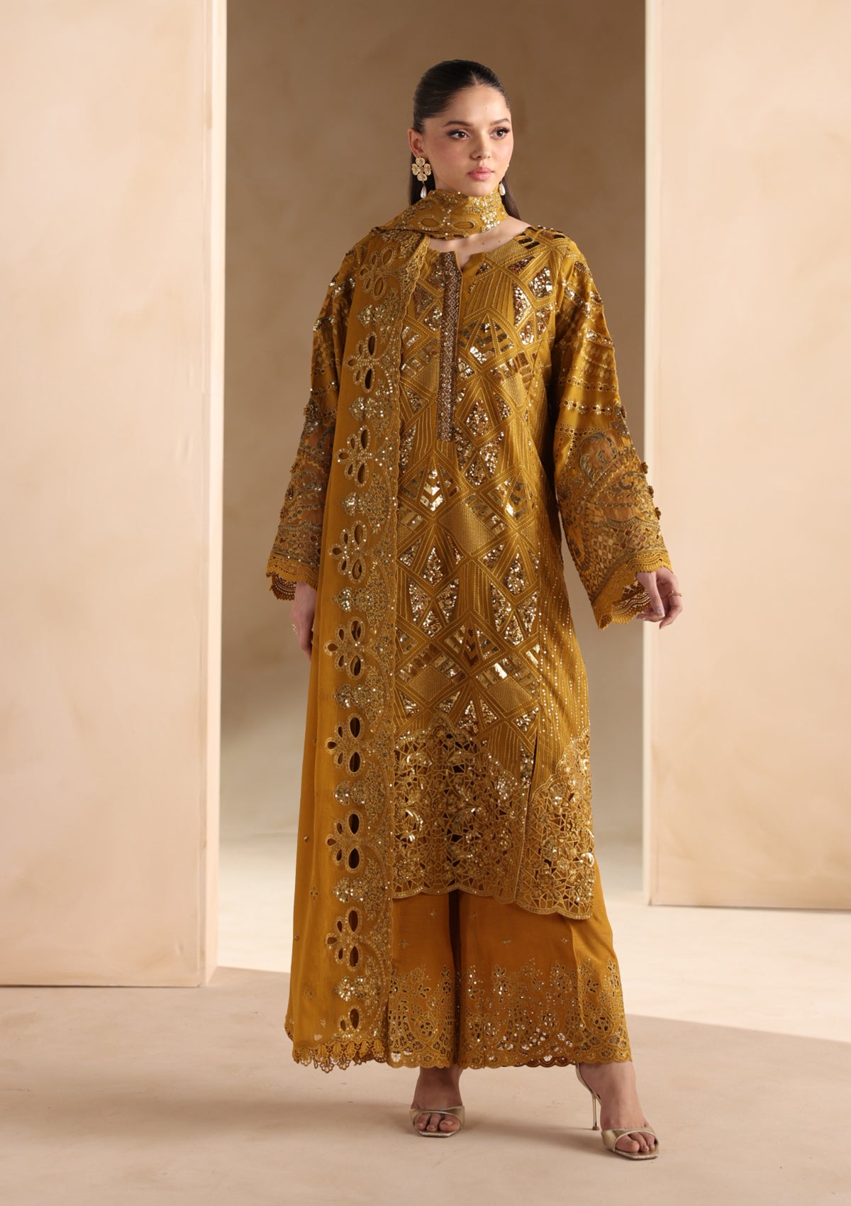 Embroidered Chiffon BT006679-MRD