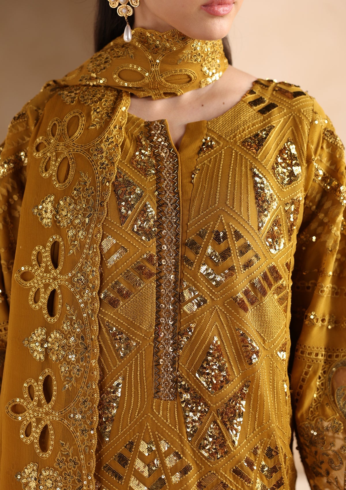 Embroidered Chiffon BT006679-MRD