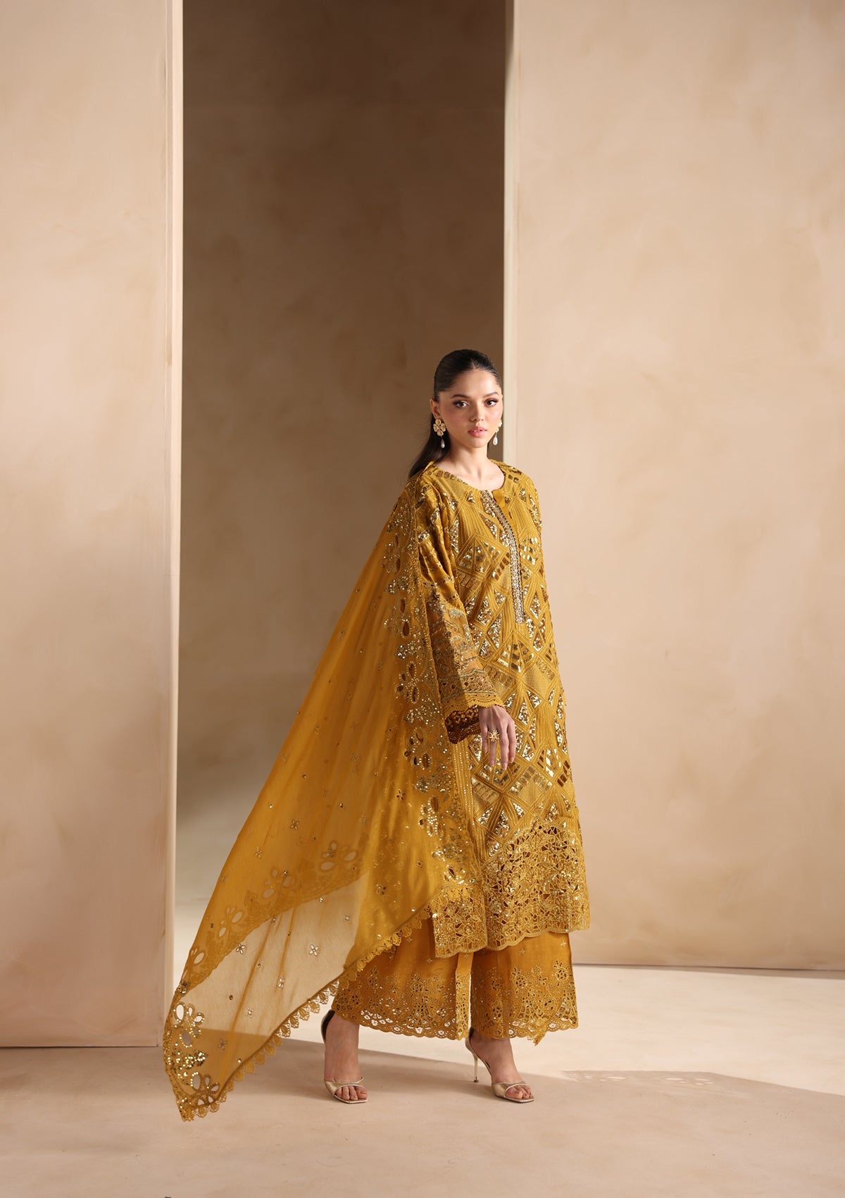Embroidered Chiffon BT006679-MRD