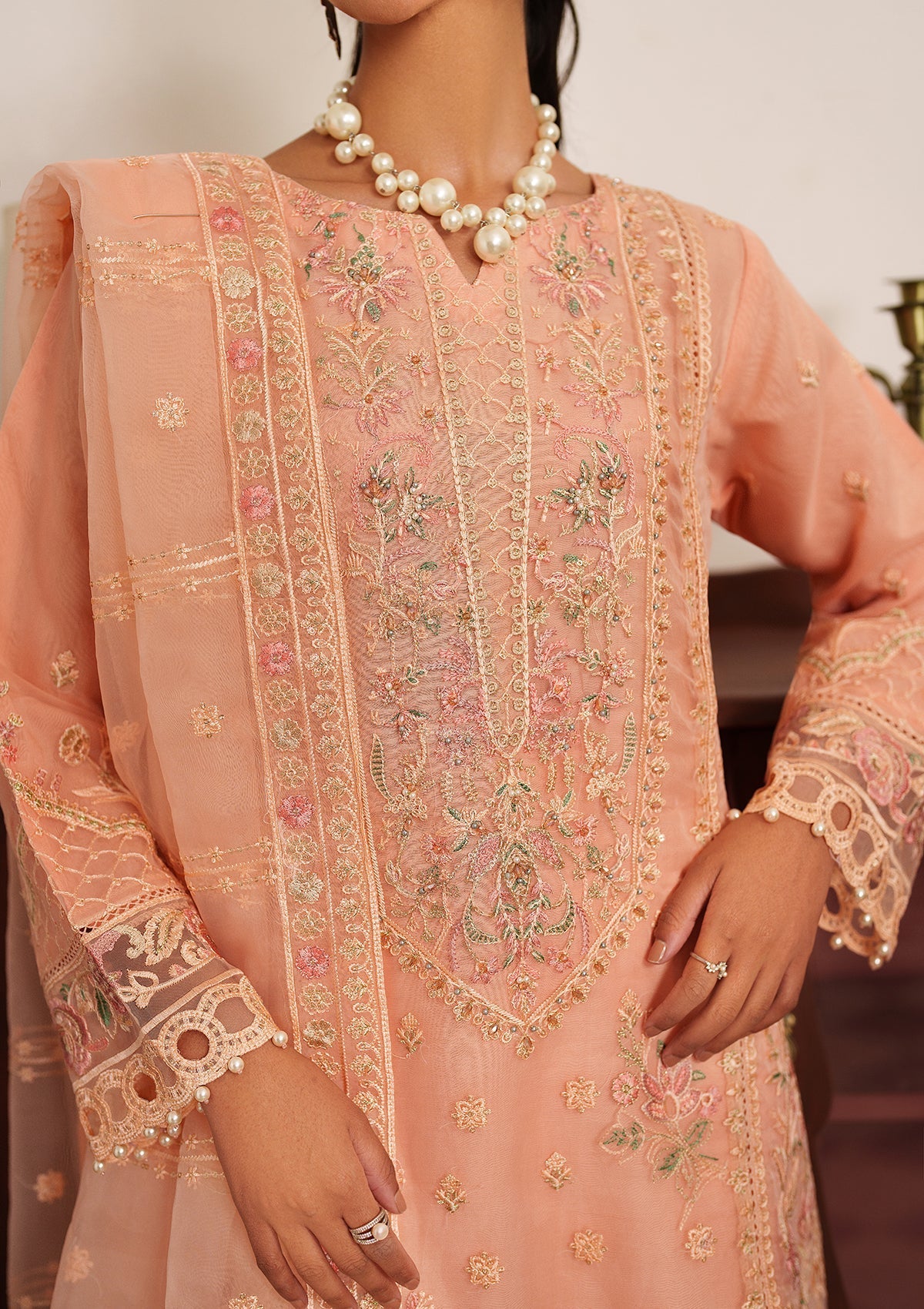 Embroidered Organza BT6537-PCH Bin Tayyab