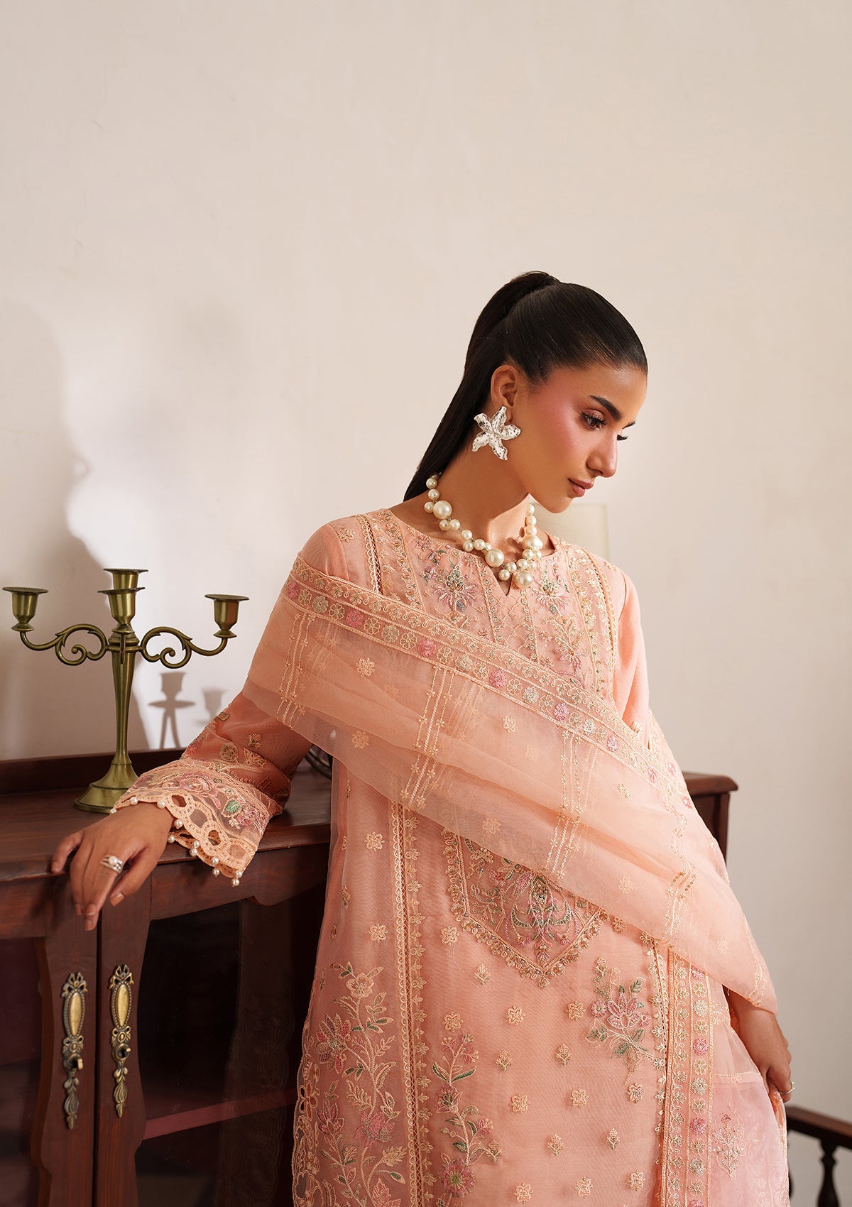 Embroidered Organza BT6537-PCH Bin Tayyab