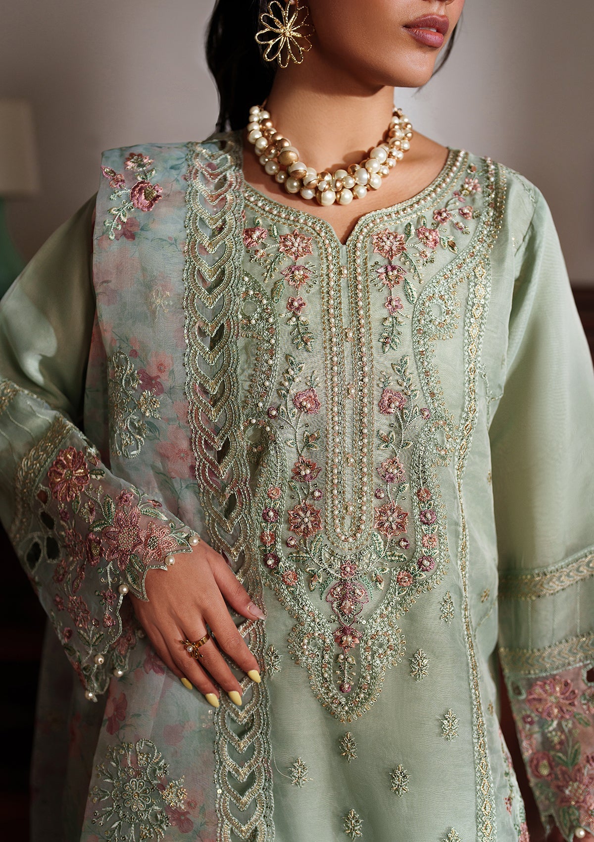 Embroidered Organza BT6558-MNT Bin Tayyab