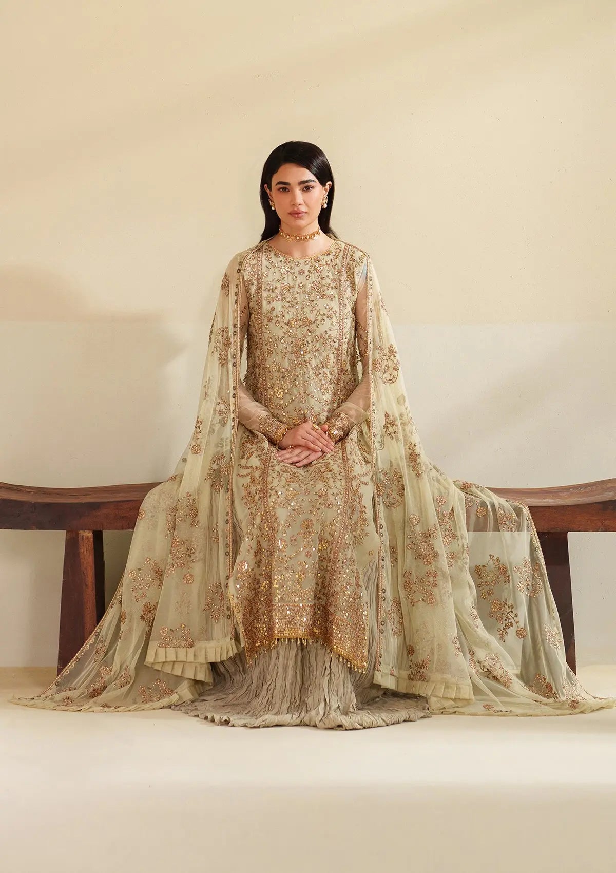 Embroidered Net BT6542-CRM Bin Tayyab