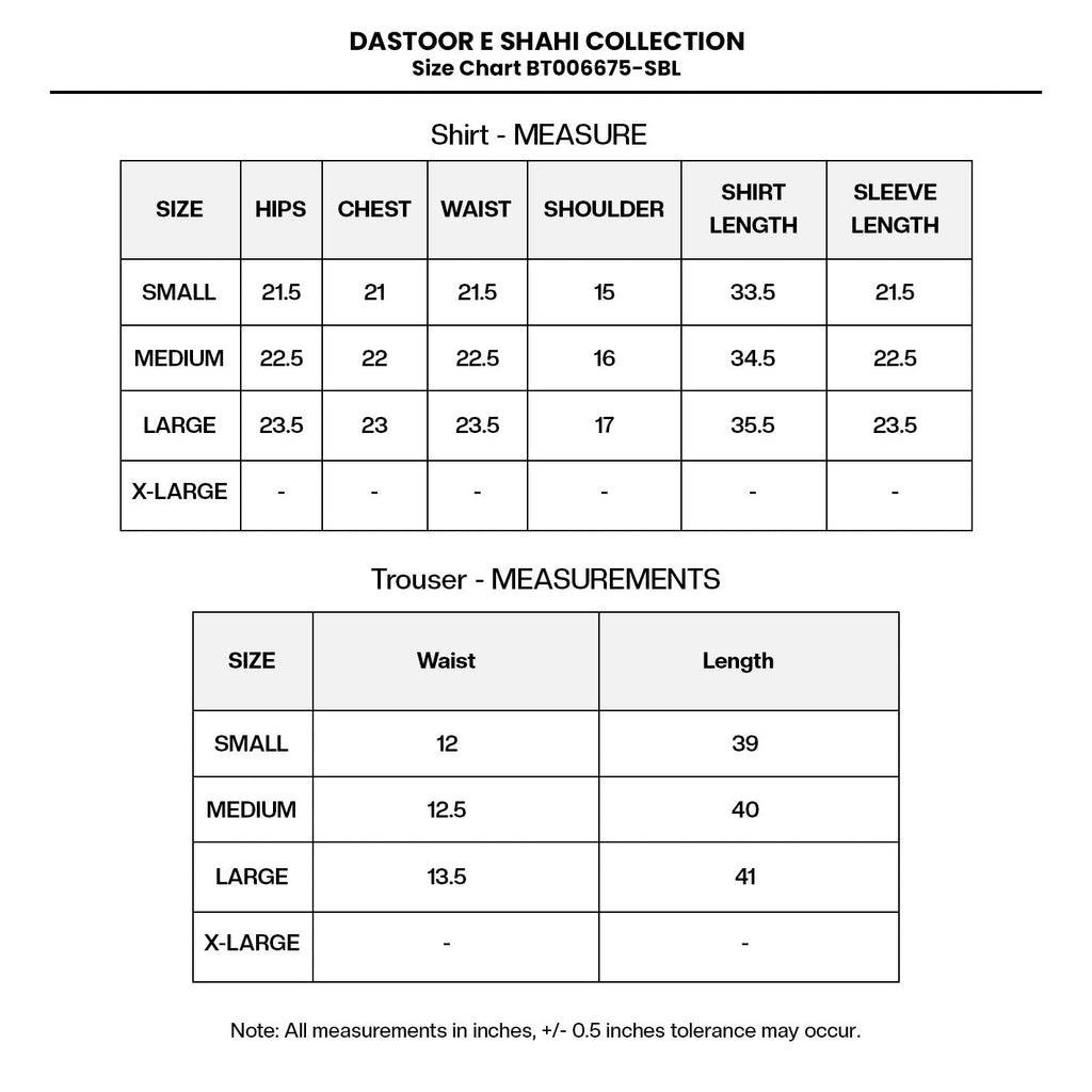Embroidered Organza BT006675-SBL Size Chart