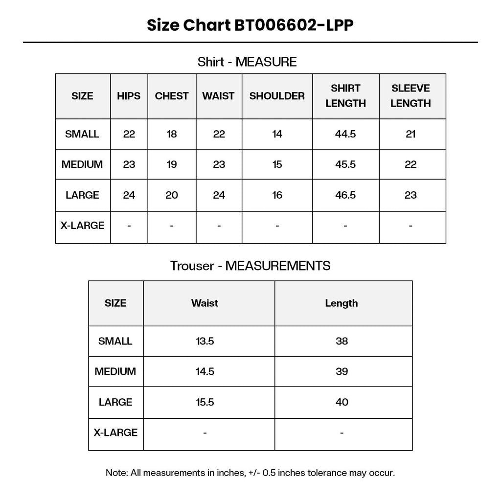 Embroidered Chiffon BT006602-LPP Size Chart